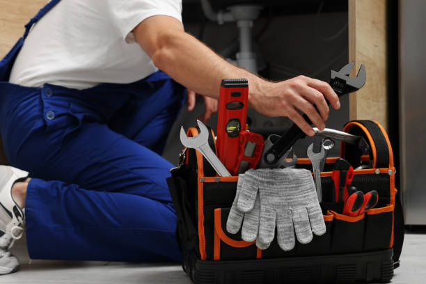 Best Same-Day Plumbing Service  in Bridgeport, MI