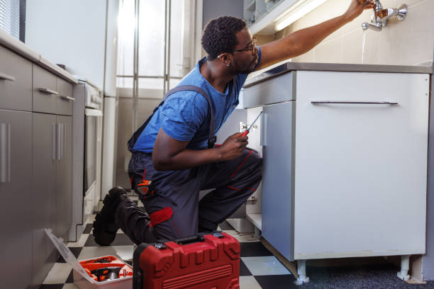 Best Local Plumber Services  in Bridgeport, MI