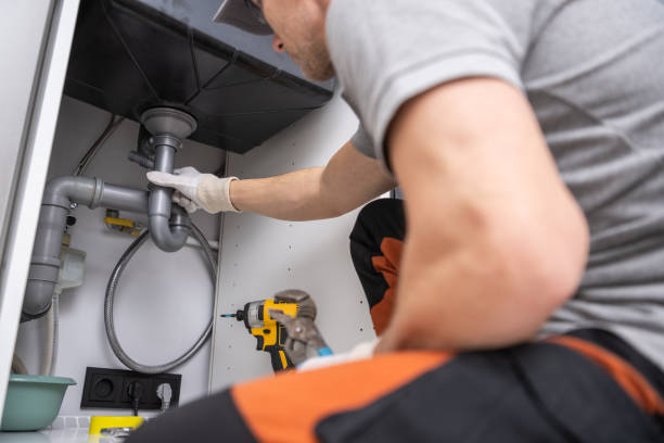 Best Commercial Plumbing Services  in Bridgeport, MI