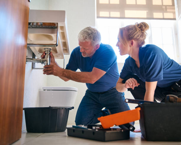 Best Affordable Plumbing Services  in Bridgeport, MI